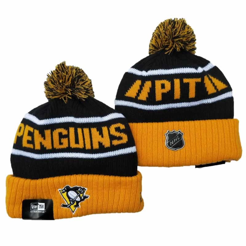 Pittsburgh Penguins Team Logo Knit Hat YD (3),We sell and wholesale Pittsburgh Penguins Team Logo Knit Hat YD (3) on line form chian!